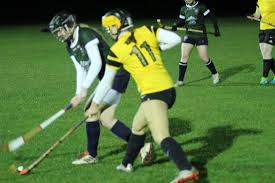 Image result for Edinburgh University Shinty Club