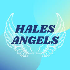 Image result for The Angels Netball Club