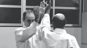 Image result for Moslin & Dewandre Aiki Dojo