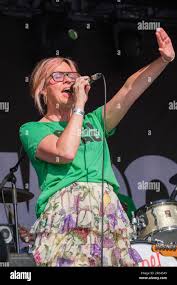 Image result for louise wener