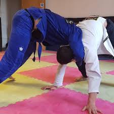 Image result for NEMESIS MARTIAL ARTS & FITNESS