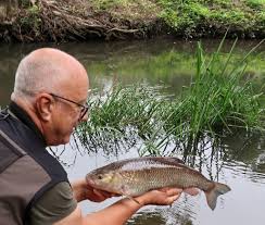 Image result for Warlingham & District Anglers Society