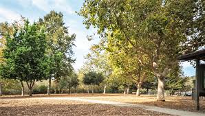 「parque los chor」の画像検索結果