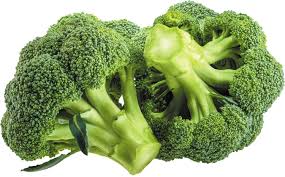 Broccoli vegetable