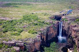 Billedresultat for kakadu n...