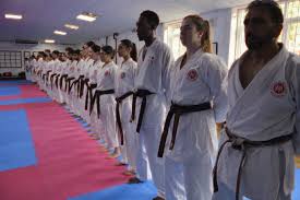 Image result for Zen Shin Seicho Do Adult Karate