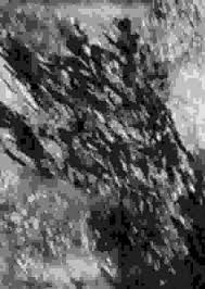 Attēlu rezultāti vaicājumam “Cirrus fibratus”