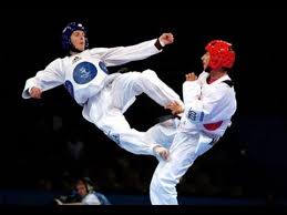 Image result for English International Allstyles Taekwon-Do