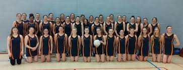 Image result for Didasko Netball Club