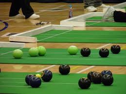 Image result for Warlingham Short Mat Bowls Club