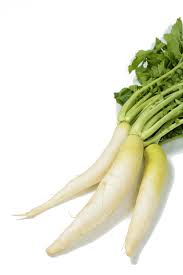 Attēlu rezultāti vaicājumam “Raphanus sativus”