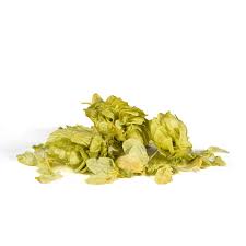 Attēlu rezultāti vaicājumam “Humulus lupulus bud”