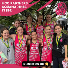 Image result for Onslow Pink Panthers Junior Netball Club