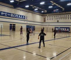 Image result for Runnymede Junior Badminton Club