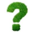 http://t0.gstatic.com/images?q=tbn:ANd9GcS7j3fM6Hx0E9D3qow21wvdKvqEo4hv8xyEfFGCShoeAFDuyASvk6eGSsU