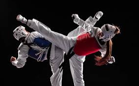 Image result for COMBAT TAEKWONDO
