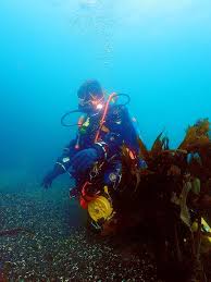 Image result for Darwen Snorkelling Club