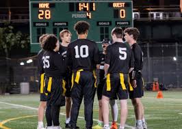 Image result for Little Common Community Sports Club