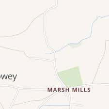 Image result for Over Stowey Cricket Club