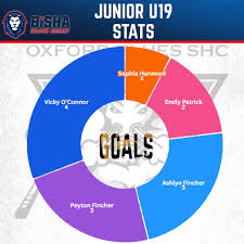 Image result for Oxford Blues Skater Hockey Club