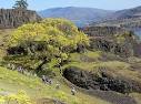 8 Great Hikes in the Pacific Northwest | OregonLive.com OregonLive