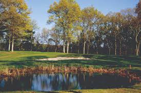 Image result for Bellingham Golf Club