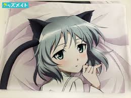 「サーニャ・V・リトヴャク ストライクウィッチーズ」の画像検索結果