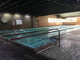 Image result for Elmbridge Phoenix Swimming Club
