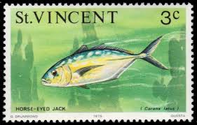 Image result for Caranx latus