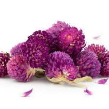 Attēlu rezultāti vaicājumam “Trifolium alpestre”