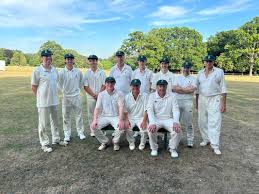 Image result for Edenbridge Cricket Club