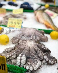 Image result for Octopushy (Croydon Area)