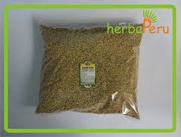 Attēlu rezultāti vaicājumam “Primula veris fruit”