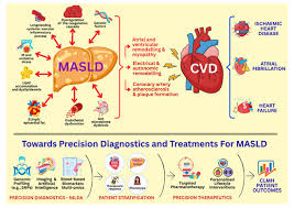 Image result for University of Sheffield Ultimate- Phat 'eds