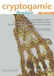 Attēlu rezultāti vaicājumam “Schistidium apocarpum sporophyte”