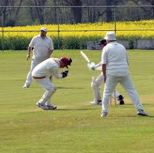 Image result for Hampole & Skelbrooke Cricket Club