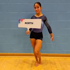 Image result for City Of Newcastle Gymnastics Academy