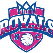 Image result for Weston super Mare Kingfishers Netball Club