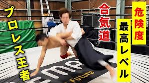 Image result for Aikido Rickmansworth