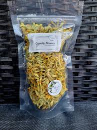 Attēlu rezultāti vaicājumam “Primula veris fruit”