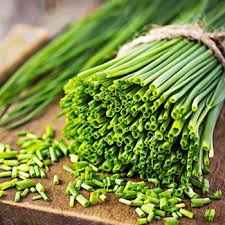 Attēlu rezultāti vaicājumam “Allium schoenoprasum fruit”