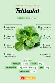 Image result for Feldsalat