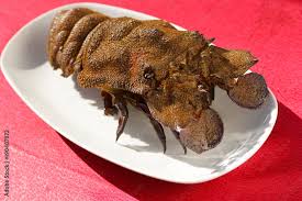 Image result for Scyllarides latus