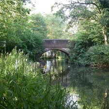 Image result for Basingstoke Sc