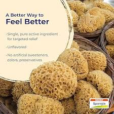 Attēlu rezultāti vaicājumam “Spongia”