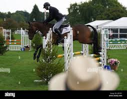 Image result for Jp-Sheffield Eventing