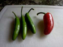 Afbeeldingsresultaat voor biker billy jalapeno hot pepper