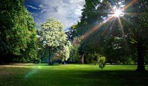 Image result for Greville Smyth Bowls Club