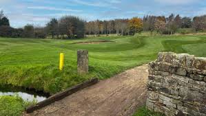 Image result for Avro Golf Club