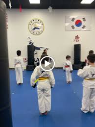 Image result for Bushido Academy Of Martial Arts (Bama)